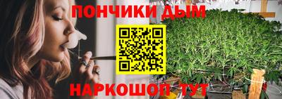 mdpv Краснознаменск