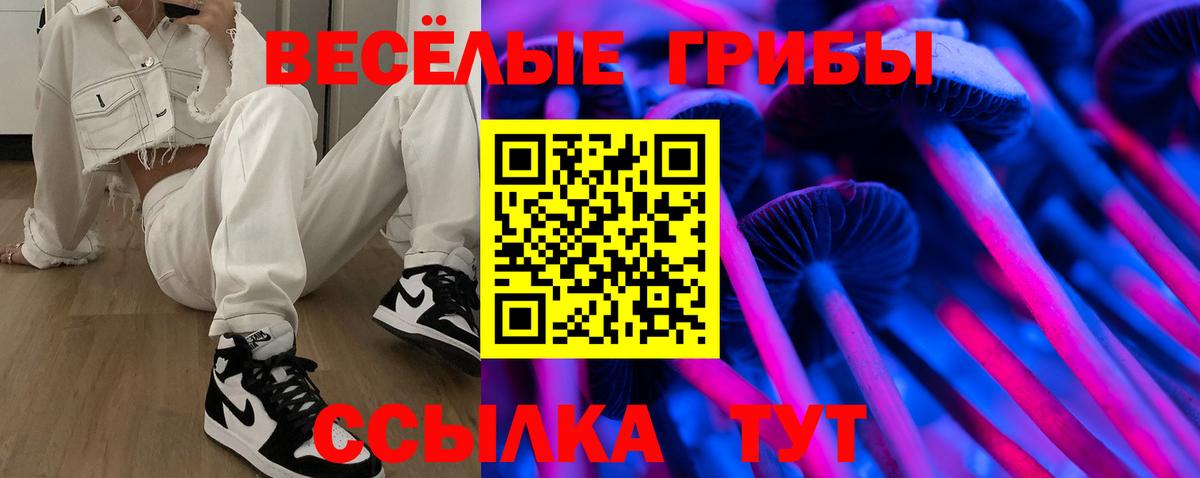 Псилоцибиновые грибы MAGIC MUSHROOMS Ковров